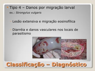 Classificação – Diagnóstico Tipo 4 – Danos por migração larval ex.:  Strongylus vulgaris Lesão extensiva e migração eosinofílica Diarréia e danos vasculares nos locais de parasitismo 