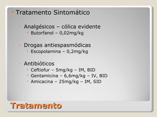 Tratamento Tratamento Sintomático Analgésicos – cólica evidente Butorfanol – 0,02mg/kg Drogas antiespasmódicas Escopolamina – 0,2mg/kg Antibióticos Ceftiofur – 5mg/kg – IM, BID Gentamicina – 6,6mg/kg – IV, BID Amicacina – 25mg/kg – IM, SID 