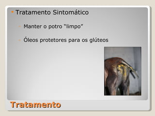 Tratamento Tratamento Sintomático Manter o potro “limpo” Óleos protetores para os glúteos 