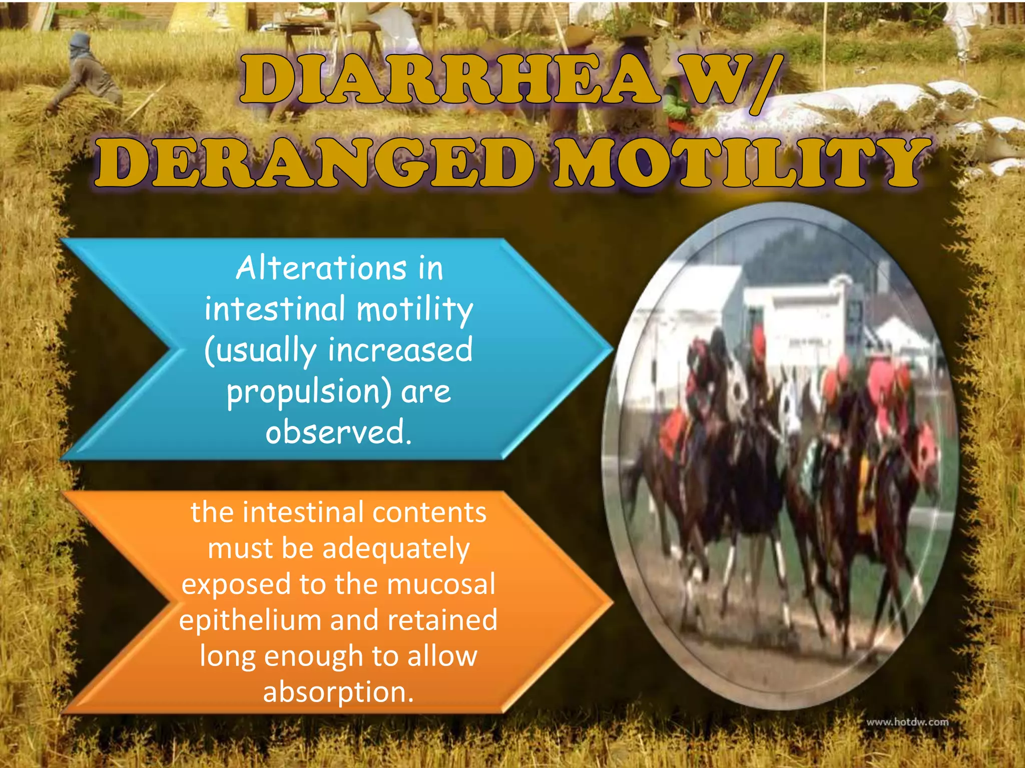 Alterations in
 intestinal motility
 (usually increased
   propulsion) are
     observed.

 the intestinal contents
   must be adequately
exposed to the mucosal
epithelium and retained
  long enough to allow
       absorption.
 