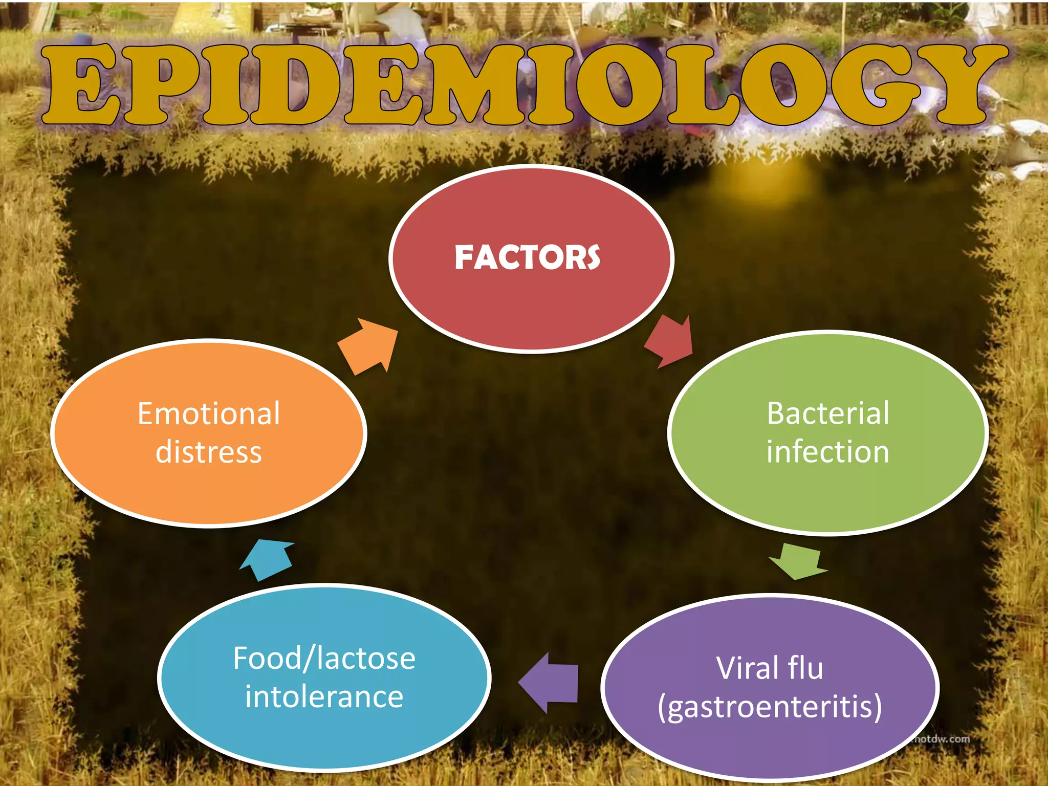 FACTORS



Emotional                             Bacterial
 distress                             infection




     Food/lactose                 Viral flu
      intolerance             (gastroenteritis)
 