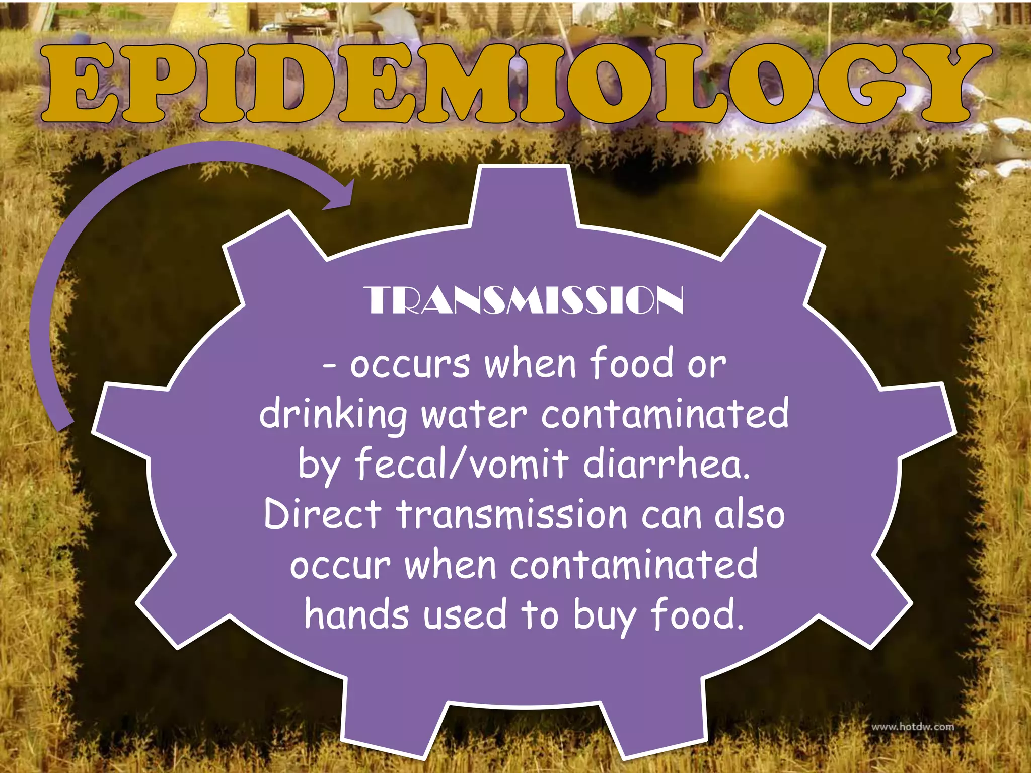 TRANSMISSION
   - occurs when food or
drinking water contaminated
  by fecal/vomit diarrhea.
Direct transmission can also
 occur when contaminated
  hands used to buy food.
 