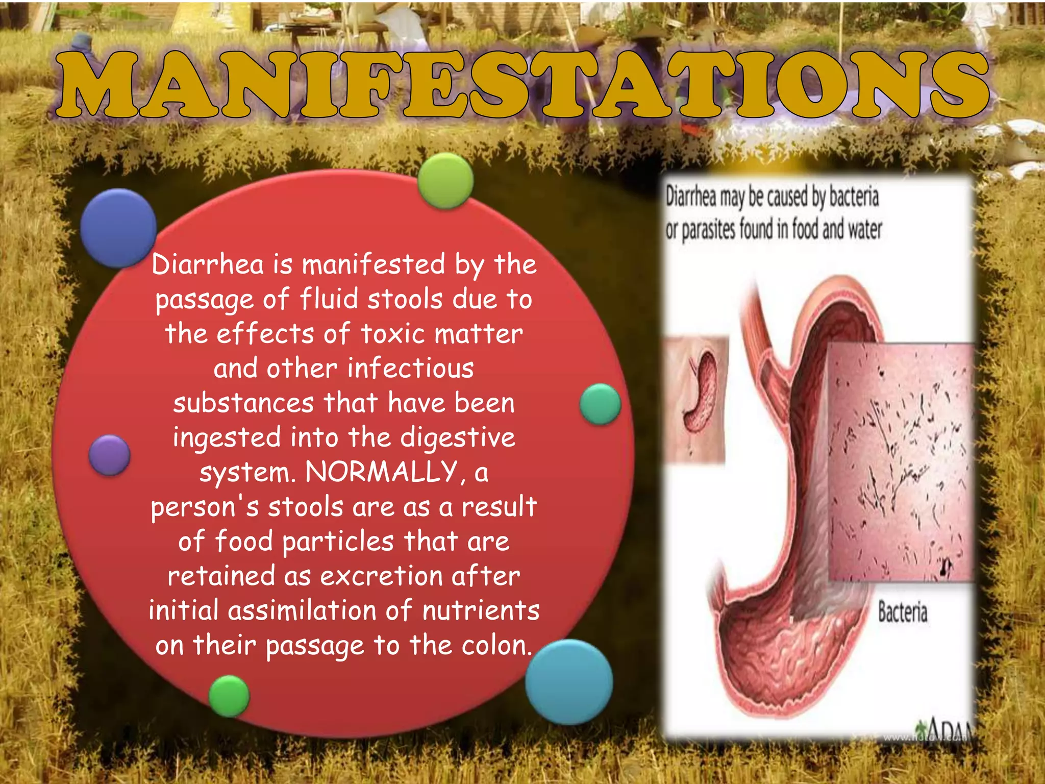 Diarrhea is manifested by the
 passage of fluid stools due to
  the effects of toxic matter
       and other infectious
   substances that have been
   ingested into the digestive
     system. NORMALLY, a
person's stools are as a result
    of food particles that are
  retained as excretion after
initial assimilation of nutrients
 on their passage to the colon.
 