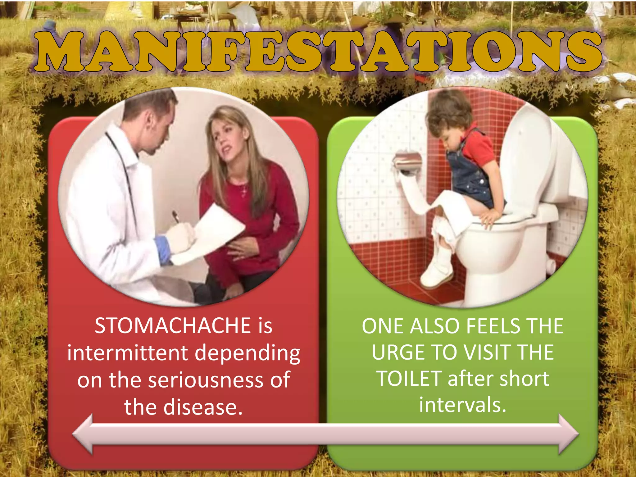STOMACHACHE is        ONE ALSO FEELS THE
intermittent depending    URGE TO VISIT THE
 on the seriousness of    TOILET after short
      the disease.            intervals.
 