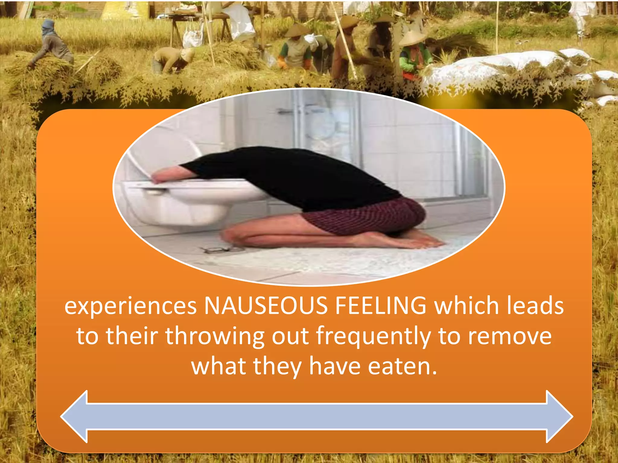 experiences NAUSEOUS FEELING which leads
 to their throwing out frequently to remove
            what they have eaten.
 