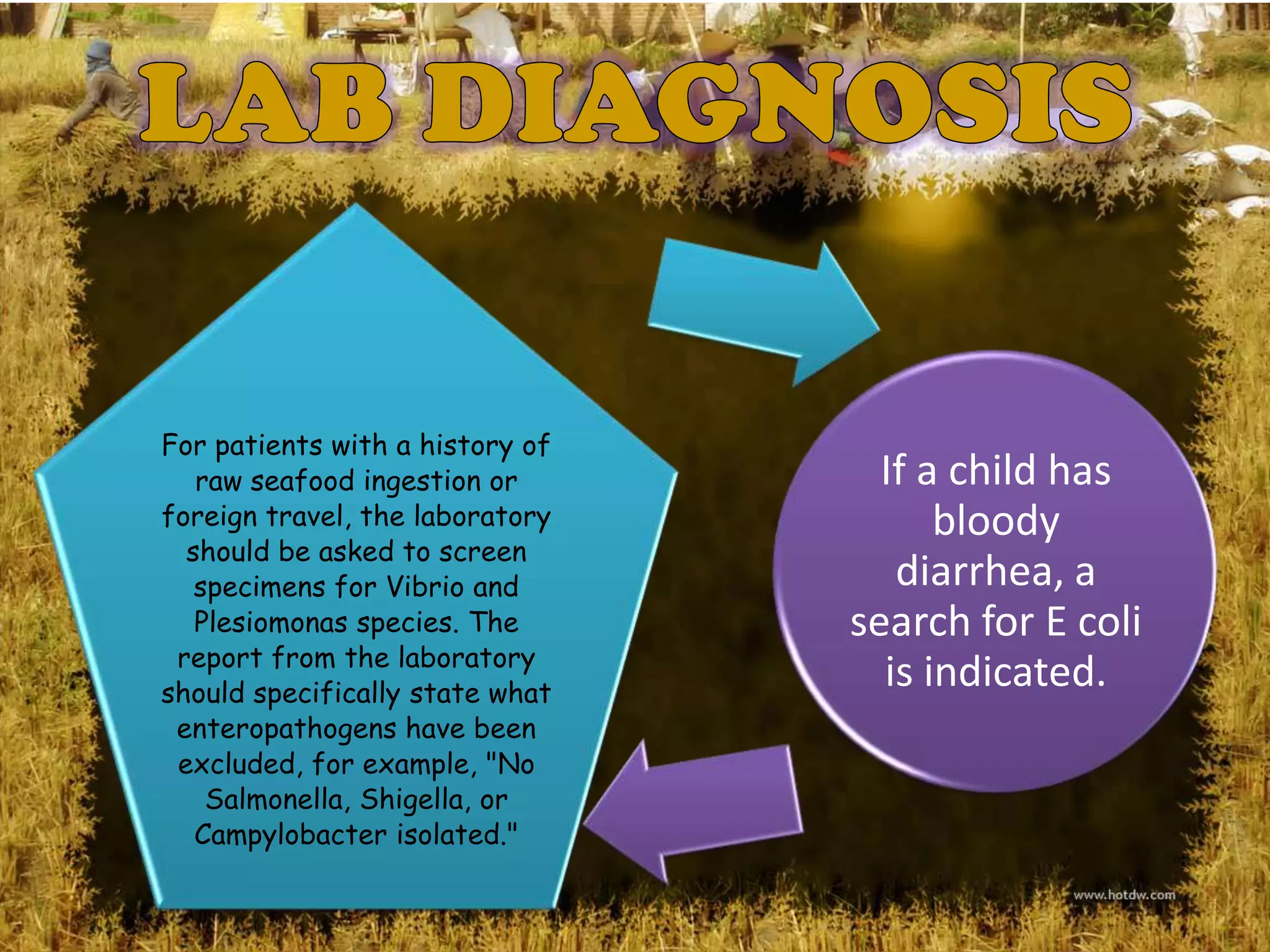 For patients with a history of
   raw seafood ingestion or        If a child has
foreign travel, the laboratory         bloody
  should be asked to screen
   specimens for Vibrio and         diarrhea, a
   Plesiomonas species. The      search for E coli
 report from the laboratory
should specifically state what
                                   is indicated.
 enteropathogens have been
 excluded, for example, "No
    Salmonella, Shigella, or
   Campylobacter isolated."
 