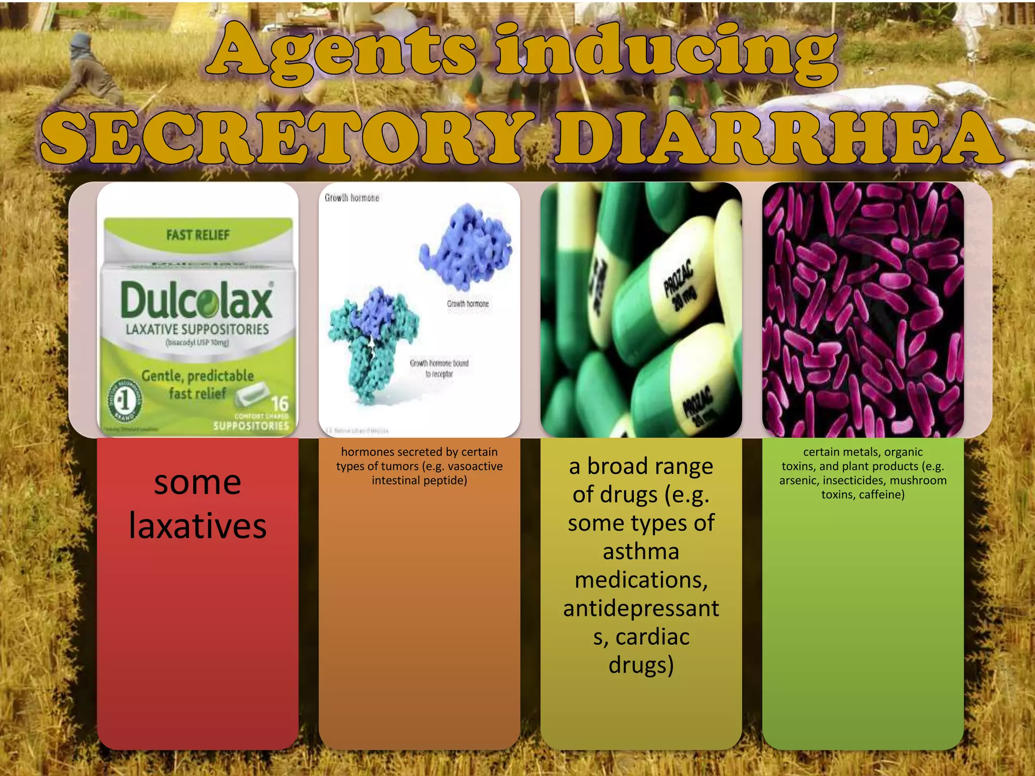 hormones secreted by certain                            certain metals, organic
            types of tumors (e.g. vasoactive   a broad range     toxins, and plant products (e.g.
  some             intestinal peptide)
                                                of drugs (e.g.
                                                                 arsenic, insecticides, mushroom
                                                                          toxins, caffeine)


laxatives                                      some types of
                                                   asthma
                                                medications,
                                               antidepressant
                                                  s, cardiac
                                                    drugs)
 