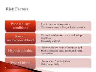 • Rare in developed countries
• Common in Asia, Africa, & Latin America
Poor sanitary
conditions
• Contaminated seafood, even in developed
countries.
• Especially shellfish.
Raw or
undercooked food
• People with low levels of stomach acid
• Such as children, older adults, and some
medications.
Hypochlorhydria
• Reasons aren't entirely clear
• Twice more likelyType O blood
 