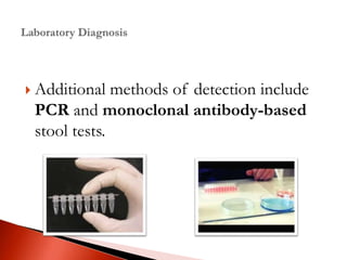  Additional methods of detection include
PCR and monoclonal antibody-based
stool tests.
 