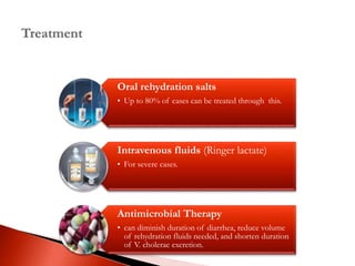 Oral rehydration salts
• Up to 80% of cases can be treated through this.
Intravenous fluids (Ringer lactate)
• For severe cases.
Antimicrobial Therapy
• can diminish duration of diarrhea, reduce volume
of rehydration fluids needed, and shorten duration
of V. cholerae excretion.
 