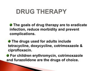 DRUG THERAPY
The goals of drug therapy are to eradicate
infection, reduce morbidity and prevent
complications.
The drugs used for adults include
tetracycline, doxycycline, cotrimoxazole &
ciprofloxacin.
For children erythromycin, cotrimoxazole
and furazolidone are the drugs of choice.
 