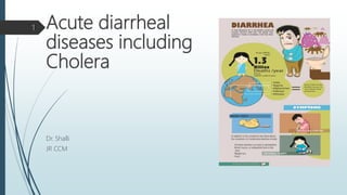 Acute diarrheal
diseases including
Cholera
Dr. Shalli
JR CCM
1
 