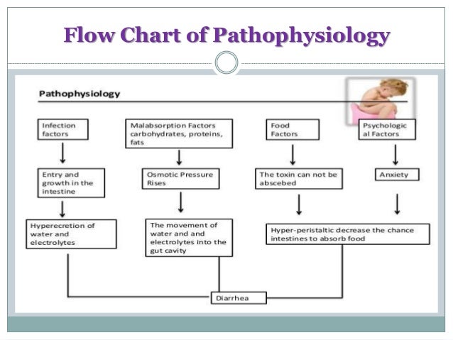 Pathophysiology Of Diarrhoea In Flow Chart