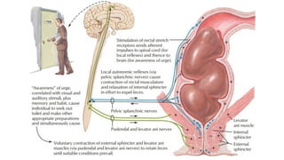 Diarrhea | PDF