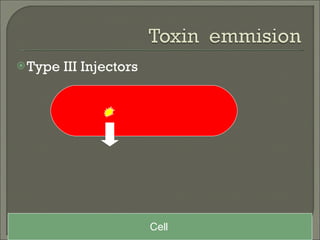 Type III Injectors Cell   
