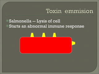 <ul><li>Salmonella -- Lysis of cell </li></ul><ul><li>Starts an abnormal immune response </li></ul>