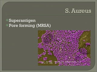 <ul><li>Superantigen  </li></ul><ul><li>Pore forming (MRSA) </li></ul>