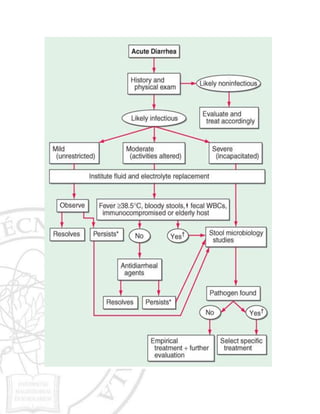 Diarrhea algorithm | DOCX