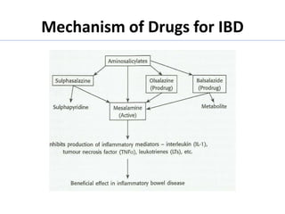 Mechanism of Drugs for IBD
 