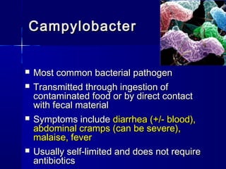 CampylobacterCampylobacter
 Most common bacterial pathogenMost common bacterial pathogen
 Transmitted through ingestion ofTransmitted through ingestion of
contaminated food or by direct contactcontaminated food or by direct contact
with fecal materialwith fecal material
 Symptoms includeSymptoms include diarrhea (+/- blood),diarrhea (+/- blood),
abdominal cramps (can be severe),abdominal cramps (can be severe),
malaise, fevermalaise, fever
 Usually self-limited and does not requireUsually self-limited and does not require
antibioticsantibiotics
 