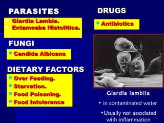 PARASITESPARASITES
 Giardia Lambia.Giardia Lambia.
 Entamoeba Histolitica.Entamoeba Histolitica.
FUNGIFUNGI
Candida AlbicansCandida Albicans
DIETARY FACTORSDIETARY FACTORS
Over Feeding.Over Feeding.
Starvation.Starvation.
Food Poisoning.Food Poisoning.
Food IntoleranceFood Intolerance
DRUGSDRUGS
AntibioticsAntibiotics
Giardia lamblia
• in contaminated water
•Usually not associated
with inflammation
 