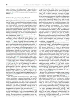 14 brazilian journal of microbiology 47S (2016) 3–30
regard to virulence traits and serotypes.333 Apparently, these
strains have recently acquired the genes encoding virulence-
associated traits, and their maintenance is driven by selective
pressure.328,330
Virulence factors, mechanisms and pathogenesis
Following the initial discovery of the association of ETEC with
diarrheic disease in humans in the 1950s, there was an intense
effort to identify ETEC virulence-associated traits that could
help to understand the physiology of the pathological process
and lead to the development of speciﬁc diagnostic meth-
ods. ETEC strains characteristically produce adhesins, or CFs,
proteinaceus complex that may take the shape of ﬁmbrial,
ﬁbrillar or nonﬁmbrial structures on the bacterial surface. The
adhesins expressed by ETEC strains facilitate the adherence
of the bacteria to the intestinal mucosa and confer host speci-
ﬁcity to the different strains.317,321
Approximately 30 antigenically distinct CFs have been
identiﬁed in clinically relevant ETEC strains, but only a few
are usually found among samples collected from diarrheic
patients.317,330 Besides differences regarding biogenesis and
structural organization, ETEC CFs show speciﬁc antigenic,
genetic and biochemical features, which are currently used to
cluster them into three main groups: the colonization factor
antigen I (CFA/I)-like group, the coli surface antigen 5 (CS5)-like
group and the class 1b group.317,334,335 The CFA/I-like group
harbors the ﬁrst described CF (CFA/I) and some of the most
clinically prevalent CFs, including CS1, CS2, CS4, CS14, CS17,
CS19 and putative colonization factor O71(PCFO71), while the
CS5-like group comprises only CS5 and CS7. The class 1b group
includes CS12, CS18, CS20 and the recently described CS26-
28 and CS30 types.317,334,335 Additionally, genetic relationships
are also observed between strains expressing CS8 and CS21,
CS13 and CS23, as well as between strains expressing CS15
and CS22.336–338 Other previously characterized CFs, such as
CS3, CS6, CS10 and CS11, are not classiﬁed into the known CS
families.317 Some CFs, such as CS18 and CS20, are related to
swine-derived ETEC ﬁmbriae, which show a lower heterogene-
ity than those found in strains isolated from humans.317,321,339
Strains expressing CFA/I, CFA-II (CS1/CS3, CS2/CS3 or CS3),
CFA-IV (CS4/CS6, CS5/CS6 or CS6), CS17 and/or CS21 are the
most prevalent CFs found in epidemiological studies, whereas
other CFs are found in ETEC strains not clearly linked to diar-
rheal disease.317,318,331
After adherence to the intestinal mucosa, ETEC strains
produce enterotoxins, which are recognized as the second
component associated with diarrheal disease. Two major cat-
egories of enterotoxins have been identiﬁed among ETEC
strains, isolated either from humans or other animal hosts: LT
and ST. Both toxin types mediate deregulation of membrane
ion channels in the epithelial membrane, leading to the loss of
ions and massive amounts of water, the major characteristic
of watery diarrhea caused by these bacterial strains.340
LT are composed of ﬁve identical monomers (11.5 kDa)
arranged in a ring shape to form a pentameric B subunit, and
a 28-kDa A subunit linked to the B subunit by the helical A2
domain. The B subunit binds to cell surface receptors, par-
ticularly to gangliosides, promoting toxin internalization and
retrograte transport up to the endoplasmic reticulum, where
the A1 domain is cleaved from the A2 domain and released
to the cytoplasm. The A1 domain transfers the ADP-ribose
moiety from the NAD+ cofactor to stimulatory G protein,
which becomes active and capable of stimulating adenylate
cyclase, leading to an intracellular increase in cyclic adenosine
monophosphate (cAMP). Higher cAMP levels in the cell induce
protein kinase A activation, which in turn leads to phos-
phorylation of ion channels, resulting in Cl− release as well
as decrease in Na+ uptake and, consequently, massive water
release to intestinal lumen, the major characteristic of secre-
tory diarrhea caused by these pathogens.6,341 ST, a monomeric
protein of about 5 kDa, may also induce osmotic deregula-
tion, activating directly the guanylate cyclase C located at the
apical membrane of the intestinal cells to produce intracel-
lular cyclic guanosine monophosphate and consequently to
generate secretion of Cl− ions and water from the intestinal
epithelium. However, an ST variant ﬁrst isolated from pigs
shows distinct physiological activity, characterized by the loss
of villus epithelial cells and net bicarbonate secretion.6 The
toxins LT and ST, separately or in combination, are able to
induce cellular water-electrolyte imbalance, which surely con-
tributes to ETEC pathogenesis.
A hallmark in ETEC biology is the expression of enterotox-
ins, which also display a signiﬁcant antigenic heterogeneity.
Approximately one-third of the strains isolated from diar-
rheic patients express only LT or only ST, while another
third express both toxin types. In addition, two unrelated
ST groups, with different functional and structural features,
have been identiﬁed: (i) STa, comprising two variants (STh
and STp) associated with human disease, and (ii) STb, which
is generally found among swine-derived ETEC strains. Simi-
larly, LT are divided into two antigenically distinct groups: LT-I
and LT-II.6 Initially, two LT-I variants, isolated from human
or swine-derived ETECs (LTh and LTp, respectively), were
described and shown to have high amino acid sequence iden-
tity and similar but not equal antigenicity and biochemical
and receptor-binding properties.342,343 The related LT-II vari-
ants (LT-IIa,-IIb,-IIc) have been isolated from human beings
or other hosts and contaminated food and bind to different
receptors.344–347 The LT-IIa, LT-IIb and LT-IIc share 51, 52 and
49% or 15, 16 and 7% identity with LT-Ih regarding the A and B
subunits, respectively.347,348
More recently, a pioneer study carried out with ETEC strains
isolated in Brazil demonstrated a rather high intraspeciﬁc
LTh variability between LT-producing ETEC strains.333,349,350
In a collection of 51 ETEC strains expressing LT and/or ST,
50 genetic polymorphic sites were found in the LT-encoding
genes, which revealed 16 natural LT variants according to
differences in amino acid sequences. Among these variants,
named LT1 to LT16, two (LT1 and LT2) were associated with
a limited number of serotypes with a global distribution and
mainly isolated from diarrheic patients.333 In contrast, most of
the detected LT variants were observed among LT-producing
ETEC strains isolated from asymptomatic subjects.333 More
recently, 12 additional LT types were identiﬁed in a larger col-
lection of ETEC strains isolated from different regions of the
world.351 Interestingly, a much reduced genetic variability was
found in the LT-encoding genes among ETEC strains isolated
from pigs (LTp) and ST-encoding genes.352,353
 