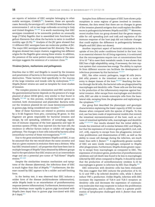 16 brazilian journal of microbiology 47S (2016) 3–30
are reports of isolation of EIEC samples belonging to other
mobile serotypes, O144H25391; however, these are sporadic
cases. Recently, the serotype of E. coli O96:H19 was described as
enteroinvasive E. coli in two large outbreaks occurring in Italy
and United Kingdom.392,393 It is worth mentioning that EIEC
serotypes considered to be nonmotile produce an unusually
large (77 kDa) ﬂagellin that is assembled into functional ﬂa-
gellum ﬁlaments that allow the bacteria to swim in modiﬁed
motility agar (0.2%).394 Analysis of the ﬂiC gene showed that
11 different EIEC serotypes have six molecular proﬁles of ﬂiC.
The major EIEC serotypes showed low ﬂiC diversity. The den-
drogram showed two major clusters, suggesting two different
origins for the ﬂagellin gene among these strains. In addition,
the presence of the same pattern among strains of the same
serotype suggests the existence of a common clone.395
Virulence factors, mechanisms and pathogenesis
Diarrhea due to EIEC and Shigella is caused by the invasion
and penetration of bacteria in the enterocytes, leading to their
destruction. These bacteria bind speciﬁcally to the mucosa
of the large intestine and invade cells by endocytosis.396,397
Shigella ﬂexneri strains are used as template for most studies
of invasion.
The complex process in colonization and EIEC survival in
the gastrointestinal barrier depends on the presence of a large
plasmid of about 220 kb (pInv), very similar to that found in
Shigella.397–400 In this process, multiple bacterial genes are
involved, both chromosomal and plasmidial. Bacteria with-
out the virulence plasmid do not cause keratoconjunctivitis
in guinea pigs, being considered non-virulent.397,401
Most of these functions are related to proteins encoded
by a 31-kb fragment from pInv, containing 38 genes. In this
fragment are genes responsible for bacterial invasion and
escape, by cell spreading, inhibition of autophagy, regula-
tion of immune response of the host apparatus and type III
secretion system (TTSS). Once injected into the host cell, the
virulence or effector factors induce or inhibit cell signaling
pathways. The changes in host cells induced by bacteria allow
intracellular survival of these microorganisms.402–404
Due to the great similarity between Shigella and EIEC, it can
be assumed that the two would share the same ancestor and
that at a given moment in evolution there was a division. Why
has EIEC retained some E. coli properties that have been lost in
multiple lineages of Shigella? Data obtained by different groups
lead to the speculation that EIEC strains are in an intermediate
stage and are a potential pre-cursor of “full-blown” Shigella
strains.405–409
Despite the similarities invasion mechanism and symp-
toms of the disease (dysentery), the infectious dose of EIEC
is much higher than that of Shigella.410 Furthermore, the dis-
ease caused by EIEC appears to be a milder and self-limiting
form.
In the Serény test, it was observed that EIEC induces a
milder form of the disease (mild/moderate inﬂammation),
while Shigella leads to an exacerbation of proinﬂammatory
response (severe inﬂammation). Furthermore, keratoconjunc-
tivitis develops more rapidly in guinea pigs inoculated with
Shigella (two days) than in guinea pigs inoculated with EIEC
(4–5 days).411
Samples from different serotypes of EIEC have shown poly-
morphism in some regions of genes involved in invasion.
However, the data reveal that there are no changes in genes
of the invasion plasmid antigens that could explain the differ-
ences in pathogenicity between Shigella and EIEC.400 Moreover,
recent studies from our group showed that the genes respon-
sible for cell spreading (icsA and icsB) and regulation of the
immune response of the host (osp) did not indicate changes
that could explain the difference in pathogenicity between
Shigella and EIEC (data not shown).
Another important aspect of bacterial colonization is the
uptake of iron (Fe) under conditions limited in the host. Iron
is an essential element for all living organisms, it is estimated
that the microorganisms require iron at concentrations from
10 to 10−6 M to meet their metabolic needs. It was shown that
EIEC has a high adaptability, using, if necessary, the iron cap-
ture system that consumes less energy. The ability to capture
Fe from different sources can facilitate the development of
infectious processes by this bacterium.412,413
EIEC, like other enteric pathogens, target M cells (micro-
fold cells) present in the intestinal mucosa as a route of
entry to deeper tissues of the host.403,414 Reaching the lam-
ina through the M cells, the bacterial cells are phagocytized by
macrophages and dendritic cells. These cells are the ﬁrst step
in the production of the inﬂammatory response against bac-
terial invasion. After escape from macrophages and dendritic
cells, EIEC are able to invade enterocyte cells from the baso-
lateral side, escaping from the phagosome and replicating in
the cytoplasm.403,414
Our group ﬁrst described the phenotypic and genotypic
characteristics explaining the lower capacity of EIEC to cause
disease when compared with the species of Shigella. To this
end, use has been made of experimental models that mimick
the intestinal microenvironment of the host, such as cul-
tures of intestinal epithelial cells, macrophages and dendritic
cells.411,415,416 Our results showed that the initial ability to
invade the intestinal cell is similar between EIEC and Shigella,
but that the expression of virulence genes (ipaABCD, icsA, icsB,
virF, virB), capacity to escape from the phagosome, intracel-
lular proliferation and dissemination of EIEC, as well as the
ability to cause cell damage during the infection, are much
lower than with S. ﬂexneri.411 A signiﬁcantly greater number
of EIEC are seen inside macrophages compared to Shigella
after phagocytosis. Furthermore, Shigella shows greater capac-
ity to escape from macrophages as compared to EIEC. The
expression of virulence genes, production of proinﬂammatory
cytokines and cell death was found to be less in macrophages
infected by EIEC when compared to Shigella. It should be noted
that the production of antiinﬂammatory cytokine IL-10 by
macrophages is greater in infection by EIEC than Shigella.415
EIEC interaction with dendritic cells has been evaluated.
The data suggest that EIEC induces the production of IL-10,
IL-12 and TNF-␣ by infected dendritic cells, while S. ﬂexneri
induce TNF-␣ production. Unlike Shigella, infection with EIEC
increases the expression of TLR-4 and TLR-5 receptors on
dendritic cells and decreases the expression of costimula-
tory molecules that may cooperate to induce the proliferation
of T-lymphocytes, and in addition, there is a greater prolif-
eration of lymphocytes challenged with S. ﬂexneri than with
EIEC.416
 