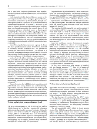 4 brazilian journal of microbiology 47S (2016) 3–30
due to poor living conditions (inadequate water supplies,
poor environmental hygiene and sanitation, and insufﬁcient
education).5
E. coli strains involved in diarrheal diseases are one of the
most important of the various etiological agents of diarrhea,
where strains have evolved by the acquisition, through hori-
zontal gene transfer, of a particular set of characteristics that
have successfully persisted in the host.3,5,6 According to the
group of virulence determinants acquired, speciﬁc combina-
tions were formed determining the currently known E. coli
pathotypes, which are collectively known as diarrheagenic
E. coli (DEC).6 The DEC pathotypes differ regarding their prefer-
ential host colonization sites, virulence mechanisms, and the
ensuing clinical symptoms and consequences, and are clas-
siﬁed as enteropathogenic E. coli (EPEC), enterohemorrhagic
(Shiga toxin-producing) E. coli (EHEC/STEC), enteroaggregative
E. coli (EAEC), enterotoxigenic E. coli (ETEC), and enteroinvasive
E. coli (EIEC).
Each of these pathotypes represents a group of clones
that share speciﬁc virulence factors. Nevertheless, it should
be pointed out that the plasticity of the E. coli genome has
hindered the identiﬁcation of certain E. coli isolates as a
pathotype, because some isolates combine the main virulence
characteristics of different pathotypes and are thus consid-
ered potentially more virulent hybrid pathogenic strains.5
Another less well-deﬁned pathotype has been described,
that is, the diffusely-adherent E. coli (DAEC) pathotype, which
comprises strains that adhere to epithelial cells in a diffused
distribution.6 Despite their classiﬁcation as a group distinct
from the other pathotypes, the designation of DAEC as a differ-
ent DEC pathotype requires further epidemiological studies,
which have been hampered by the difﬁculties in its identiﬁ-
cation and classiﬁcation.5 Furthermore, certain E. coli strains
that have been classiﬁed as the adherent invasive E. coli (AIEC)
pathotype, comprise one of the potential agents for Crohn’s
disease (CD). CD is an inﬂammatory bowel disease (IBD), which
is thought to be caused by a combination of factors (genetics,
the intestinal microbiota, environmental factors, and enteric
pathogens).7,8
Diarrheal episodes due to DEC infections are an important
public health issue among children and adults in develop-
ing countries, because of their association with morbidity and
mortality of children less than ﬁve years of age. It was our aim
with this review to gather information on current deﬁnitions,
serotypes, lineages, virulence mechanisms, epidemiology, and
diagnosis of the major DEC pathotypes with emphasis on the
studies conducted in Brazil.
Typical and atypical enteropathogenic E. coli
The term enteropathogenic E. coli (EPEC) was ﬁrst used in
1995 by Neter et al.,9 to describe a number of E. coli strains
epidemiologically related to a series of outbreaks of infantile
diarrhea in the 1940s and 1950s.10,11 Originally identiﬁed by
serotype, EPEC are now deﬁned as those E. coli strains having
the ability to cause diarrhea, to produce a histopathology on
the intestinal epithelium known as the attaching and effac-
ing (AE) lesion, and the inability to produce Shiga toxins and
heat-labile (LT) or heat-stable (ST) enterotoxins.6
Improvements in techniques allowing a better understand-
ing of the genome and virulence mechanisms among EPEC
strains over the years have led to the sub-classiﬁcation of EPEC
into typical EPEC (tEPEC) and atypical EPEC (aEPEC).3,12 Typi-
cal EPEC strains causing human infectious diarrhea possess
a large virulence plasmid known as the EPEC adherence fac-
tor (EAF) plasmid (pEAF), which encodes the type IV ﬁmbriae
called the bundle-forming pilus (BFP), while aEPEC do not
possess this plasmid.6,12
The majority of tEPEC strains fall into well-recognized O
serotypes. Classical EPEC O serogroups include O55, O86, O111,
O114, O119, O127, and O142. The most common H antigens
associated with EPEC are the H6 and H2 antigens.12–15 A less
common EPEC type is H34, and a number of tEPEC strains
are classiﬁed as non-motile (H-) in conventional tests. Typical
EPEC strains belonging to non-classical serotypes have also
been reported.12,16
Based on multilocus enzyme electrophoresis analysis
(MLEE) of allelic differences between housekeeping genes,
tEPEC strains have been subtyped into two major lineages,
previously designated EPEC1 and EPEC2.13,14 EPEC1 includes
widespread serotypes such as O55:H6 and O119:H6, whereas
EPEC2 consists of serotypes with more limited occurrence
such as O111:H2 and O114:H2. Based on a whole-genome
phylogeny and analysis of type III secretion system (T3SS)
effectors, tEPEC strains have been demonstrated to cluster
in three main lineages, designated EPEC1, EPEC2, and EPEC4,
which probably acquired the locus of enterocyte effacement
(LEE) region and pEAF independently.17
In turn, aEPEC belong to a large diversity of classical
and non-classical serotypes.12,16,18 Over 20% of strains of
non-classical EPEC serotypes are O non-typeable and the O-
typeable strains belong to more than 4200 different serotypes,
with many non-motile and H non-typeable strains.12,18 Inter-
estingly, it has been found that 35% of the aEPEC strains also
belong to the tEPEC lineages.17 Thus, it has been hypothe-
sized that at least some aEPEC may have originated from tEPEC
strains that lost pEAF in the host or in the environment.17,19,20
Virulence factors, mechanisms and pathogenesis
Typical EPEC strains adhere to HeLa, HEp-2, and other cell lines
and to organ cultures in vitro in a distinctive pattern of three-
dimensional microcolonies, a so-called localized adherence
(LA) pattern.6,21 A similar adherence pattern has been seen
in tissue biopsies of EPEC-infected humans.22
The LA phenotype is mediated by the BFP,23 which
also contributes to antigenicity, autoaggregation, and bioﬁlm
formation.23–27 An operon of 14 genes contained on the pEAF
is necessary for BFP expression, with bfpA encoding the major
structural subunit (bundlin)28 and being highly conserved
among EPEC1 and EPEC2 strains.
The self-transmissible pEAF pMAR2 is found among
strains of the EPEC1 lineage and contains an intact transfer
region, unlike pB171, which is more common among EPEC2
strains.29,30 Besides the bfp gene cluster, encoding BFP,23 the
pEAF carries the per locus, encoding the transcriptional activa-
tor called plasmid-encoded regulator (Per).29 Between pMAR2
and pB171, the bfp and per loci share 99% sequence similarity,30
and both BFP and PerA have been shown to contribute to
 