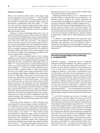 8 brazilian journal of microbiology 47S (2016) 3–30
Detection and diagnosis
EPEC can be detected by DNA probes or PCR assays using
primers targeting the eae and stx genes.132,133 All eae-positive
and stx-negative E. coli strains are further tested by PCR for
the presence of the bfpA gene encoding bundlin6 and/or the
EAF plasmid to differentiate tEPEC from aEPEC.134,135 How-
ever, this may fail to identify all bfpA-positive EPEC strains,
since multiple alleles of bfpA have been identiﬁed,136 suggest-
ing that some current PCR methods may fail to identify all
bfpA-positive EPEC strains.
However, in routine microbiology laboratories, all E. coli
colonies obtained from primary isolation plates are tradition-
ally screened by slide agglutination assays using sera against
the classical EPEC serogroups O26, O55, O86, O111, O114, O119,
O125, O126, O127, O128, O142, and O158.137 This method is
practical and easy to perform, the main advantage of which is
the commercial availability of the sera. However, the disadvan-
tage of this method is the heterogeneity of EPEC serogroups
that can comprise categories other than EPEC, the inability to
distinguish tEPEC from aEPEC within these serogroups, and
the occurrence of EPEC strains belonging to serogroups other
than the classical EPEC serogroups.12,18,138,139
Since EPEC strains are deﬁned based on their virulence
properties, a set of proteins, including intimin, BFP and T3SS
secreted proteins can be considered targets for diagnosis. BFP
expression has been considered the phenotypic marker of
tEPEC.18,78,140 Immunoﬂuorescence and immunoblotting tests
using monoclonal or polyclonal antibodies against BFP have
been employed.141,142 These cited authors detected the pro-
duction of BFP on different media, in which they reported
that 91% of the tEPEC strains tested produced BFP in Dul-
becco’s Modiﬁed Eagle Medium (DMEM), 89% in MacConkey,
and 83% in EMB agars. These results are particularly inter-
esting, since MacConkey and EMB agars are routinely used
for the identiﬁcation of lactose-fermenting E. coli isolated
from diarrheal stools. A colony immunoblot assay for tEPEC
detection based on BFP expression was also standardized
using a rabbit tEPEC anti-BFP polyclonal serum. Standardiza-
tion was done after growing the bacterial isolates on DMEM
agar containing fetal bovine serum or tryptic soy agar con-
taining 5% washed sheep blood (TSAB). This test showed a
positivity of 92 and 83% and speciﬁcity of 96 and 97%, respec-
tively, when the culture was done in DMEM and TSAB. This
method combines the simplicity of an immunoserological
assay with the high efﬁciency of testing a large number of EPEC
colonies.140
Concerning intimin detection, a rabbit polyclonal sera
raised against the conserved region of intimin (Int388-667)143
was employed in order to detect tEPEC isolates expressing ␣,
␤, ␥, ␦ and ␧ intimin reported an application of immunoblot-
ting with 100% speciﬁcity and 97% sensitivity in the detection
of eae positive E. coli strains.144–146 These authors clearly
demonstrated that polyclonal rabbit antisera is suitable for
immunoblotting as a diagnostic tool, and showed that protein
denaturation and linearization is a critical step for anti-
intimin antibody accessibility. Indeed, even employing the
recombinant antibody such as single chain fragment variable
(scFv-intimin),147,148 merely by immunoﬂuorescence the scFv-
intimin was able to detect tEPEC, aEPEC, and EHEC isolates,
showing that intimin can be a target for EPEC and EHEC diag-
nosis after bacterial permeabilization.148
Regarding secreted proteins, Lu et al.149 developed a new
practical method to identify EPEC by detecting the E. coli
secreted protein B (EspB) in the culture supernatant by
reversed passive latex agglutination (RPLA), after the strains
have been cultivated in DMEM. In addition, Nakasone et al.,150
established a rapid immunochromatographic (IC) test to iden-
tify the presence of EspB in EPEC and EHEC isolates. The
detection limit of the test has been reported to be 4 ng/mL, and
the results showed 96.9% sensitivity and 100% speciﬁcity. The
IC test for the detection of EspB may be a practical method
to deﬁne EPEC or EHEC both in clinical laboratories and the
ﬁeld.150
In addition, a rapid agglutination test using latex beads
coated with anti-EspB mAb was standardized, showing 97%
sensitivity, 98% speciﬁcity and 97% efﬁciency, which is
required for the diagnosis of enteropathogenic diseases and
can be employed in developing countries with poorly equipped
laboratories.151
Enterohemorrhagic (Shiga toxin-producing)
E. coli (EHEC/STEC)
EHEC/STEC represent a well-known group of foodborne
pathogens distributed worldwide. The ability to produce one
or more of the Shiga toxin (Stx) family cytotoxins152 con-
stitutes the main virulence attribute of this pathogroup of
E. coli. A wide array of infections from mild and almost
unapparent diarrhea to more serious manifestations such
as hemorrhagic colitis (HC) and the development of a life-
threatening syndrome known as hemolytic uremic syndrome
(HUS) are caused by EHEC/STEC. Infants and children are the
main affected patients, and although the incidence of infec-
tion varies in different regions, the impact and importance
of EHEC/STEC infections in public health is immense, being
the main cause of acute renal failure in children in many
countries. The perspective of EHEC/STEC infections has been
previously described,153,154 but a considerable amount of infor-
mation has been obtained in more recent years related to the
epidemiology, ecology and virulence properties of these bacte-
ria.
E. coli O157:H7 serotype was the ﬁrst to be linked to HC
and HUS cases in the early 1980s, and has been since then
responsible for numerous outbreaks and sporadic cases of
severe diseases all over the world, therefore considered to be
the prototype of this pathogenic group of bacteria.155 It is well
known that hundreds of other E. coli serotypes can harbor the
stx genes, but epidemiological studies carried out worldwide
have proven that only some of them have been responsible
for causing human diseases. Some serogroups including O26,
O45, O103, O111, O121 and O145 can be highlighted among
those most commonly related to human infections.156 More-
over, in recent years the emergence of some particular clones
such as the hybrid O104:H4 enteroaggregative E. coli carrying
Stx2 genes, responsible for a severe outbreak of HUS start-
ing in Germany in 2011,157 the spread of a new O26:H11 clone
in Europe,158 and some other hybrid clones,159 suggests that
 