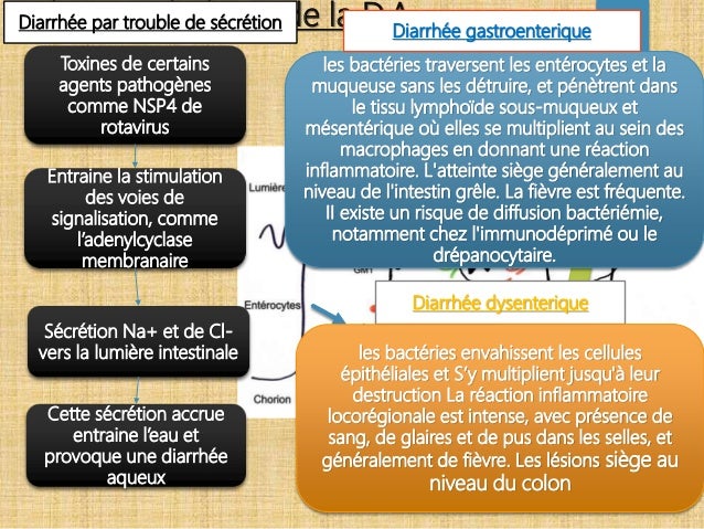 Diarrhee Aigue Topo