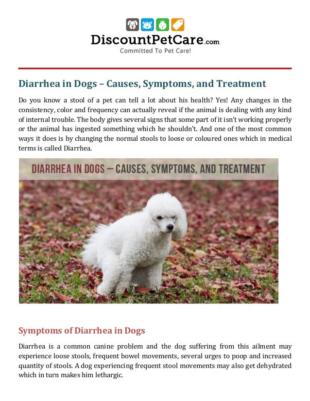 Diarrhea in Dogs Causes, Symptoms, and Treatment