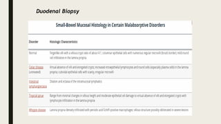Duodenal Biopsy
 