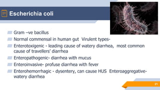 ▰ Gram –ve bacillus
▰ Normal commensal in human gut Virulent types-
▰ Enterotoxigenic - leading cause of watery diarrhea, most common
cause of travellers’ diarrhea
▰ Enteropathogenic- diarrhea with mucus
▰ Enteroinvasive- profuse diarrhea with fever
▰ Enterohemorrhagic - dysentery, can cause HUS Enteroaggregative-
watery diarrhea
21
Escherichia coli
 