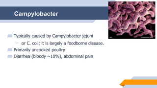 Campylobacter
▰ Typically caused by Campylobacter jejuni
▻ or C. coli; it is largely a foodborne disease.
▰ Primarily uncooked poultry
▰ Diarrhea (bloody ~10%), abdominal pain
 