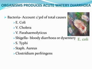ORGANISMS PRODUCES ACUTE WATERY DIARRHOEA
 Bacteria- Account 1/3rd of total causes
E. Coli
V. Cholera
V. Parahaemolyticus
Shigella- bloody diarrhoea or dysentery
S. Typhi
Staph. Aureus
Clostridium perfringens
E. coli
 