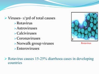  Viruses- 1/3rd of total causes
Rotavirus
Astroviruses
Calciviruses
Coronaviruses
Norwalk group viruses
Enteroviruses
 Rotavirus causes 15-25% diarrhoea cases in developing
countries
Rotavirus
 