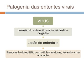 Patogenia das enterites virais

                        vírus
         Invasão do enterócito maduro (intestino
                        delgado)


                Lesão do enterócito

Renovação do epitélio com células imaturas, levando à má
                        absorção
 