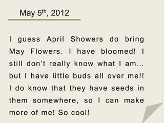 May 5th, 2012


I guess April Showers do bring
May Flowers . I have bloomed! I
still don’t really know what I am…
but I ha...
