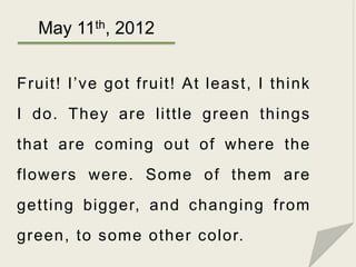 May 11th, 2012


Fruit! I’ve got fruit! At least, I think
I do. They are little green things
that are coming out of where ...