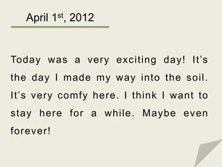 April 1st, 2012


Today was a very exciting day! It’s
the day I made my way into the soil.
It’s very comfy here. I think I...