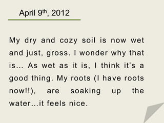 April 9th, 2012


My dry and cozy soil is now wet
and just, gross. I wonder why that
is… As wet as it is, I think it’s a
g...