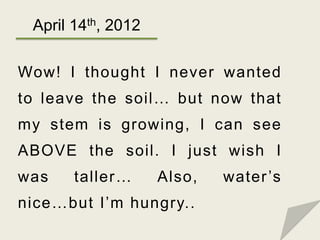 April 14th, 2012

Wow! I thought I never wanted
to leave the soil… but now that
my stem is growing, I can see
ABOVE the so...