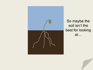 So maybe the
  soil isn’t the
best for looking
       at…
 