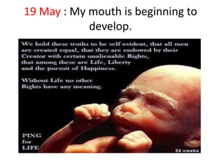 19 May : My mouth is beginning to
develop.

 