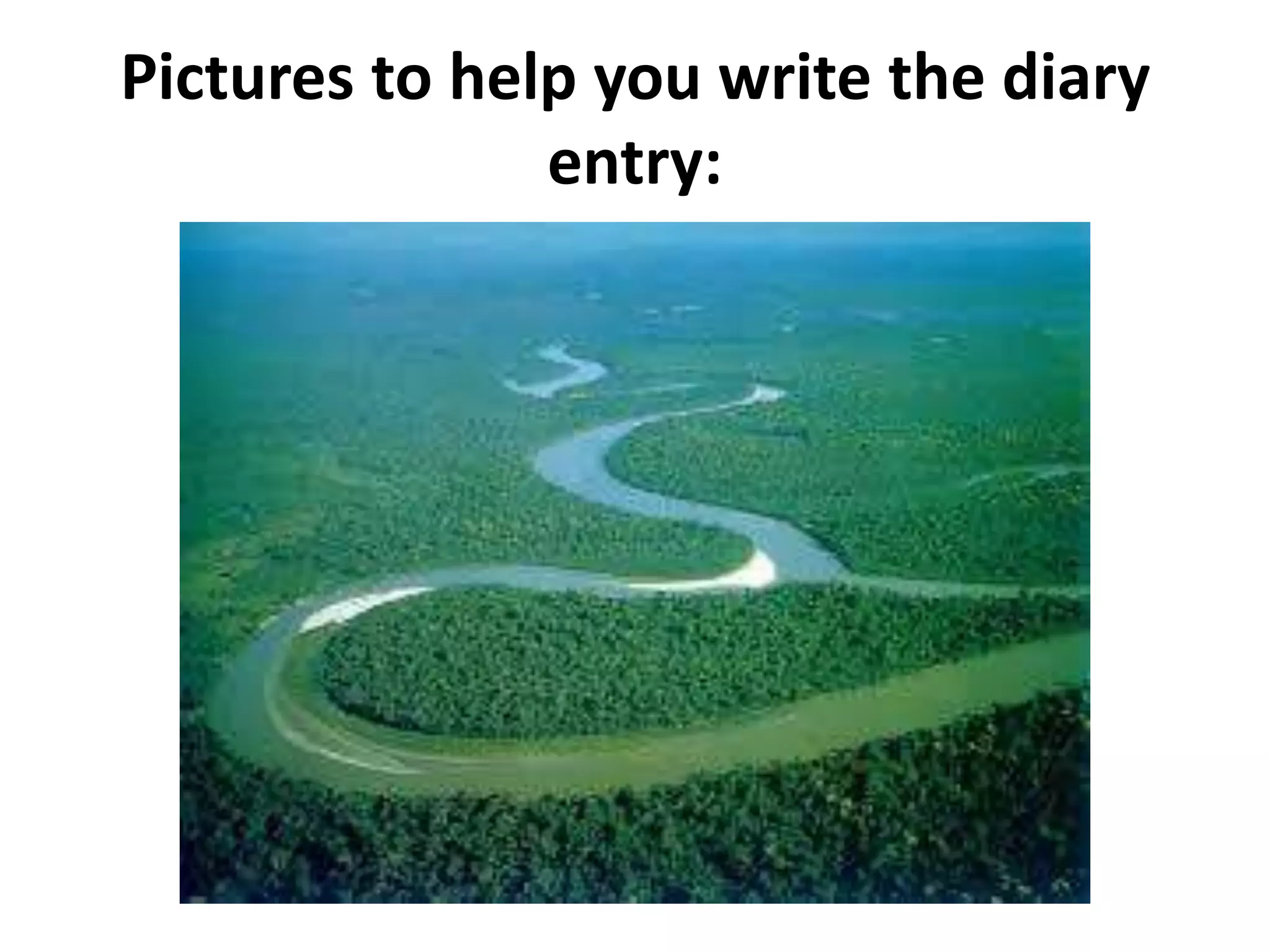 Pictures to help you write the diary
entry:

 