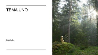 TEMA UNO
Subtítulo
 