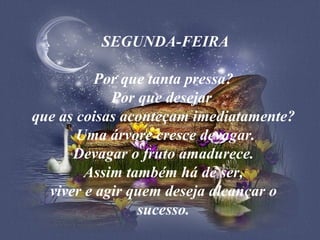 SEGUNDA-FEIRA Por que tanta pressa? Por que desejar  que as coisas aconteçam imediatamente?  Uma árvore cresce devagar. Devagar o fruto amadurece. Assim também há de ser, viver e agir quem deseja alcançar o sucesso. 