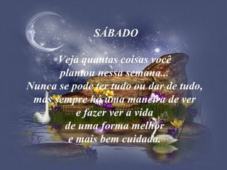 SÁBADO    Veja quantas coisas você  plantou nessa semana...  Nunca se pode ter tudo ou dar de tudo,  mas sempre há uma maneira de ver  e fazer ver a vida  de uma forma melhor  e mais bem cuidada.   