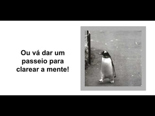 Ou vá dar um passeio para clarear a mente! 