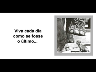 Viva cada dia como se fosse o último...  
